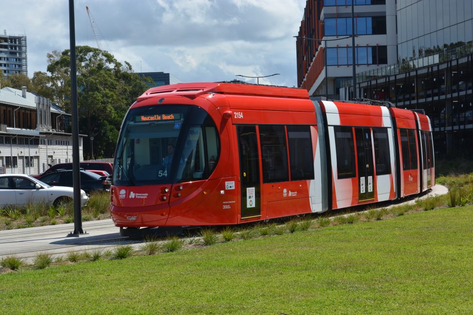 A red and white Newcastle Light Rail vehicle travelling past a luscious green field of grass